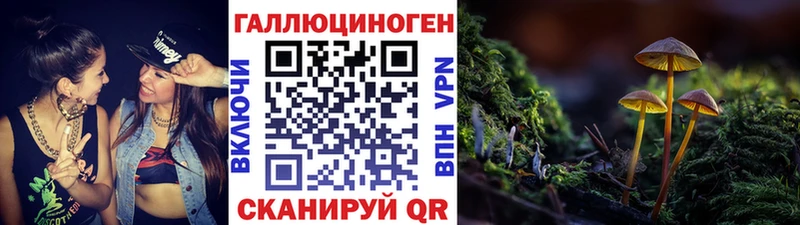 Купить  Углич  Галлюциногенные грибы мицелий 